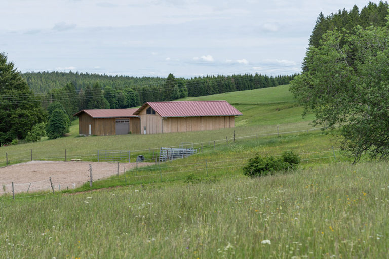 Neubau – Architekturbüro Kaiser